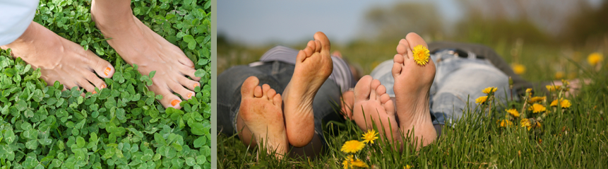 Beautiful feet in clovers - Beauchamp Foot Care